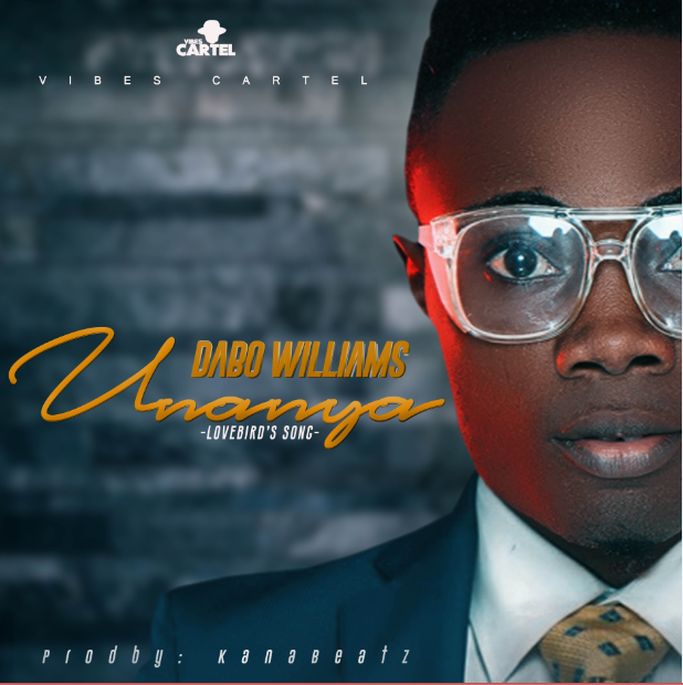 Dabo Williams - Unanya | Mp3 Download