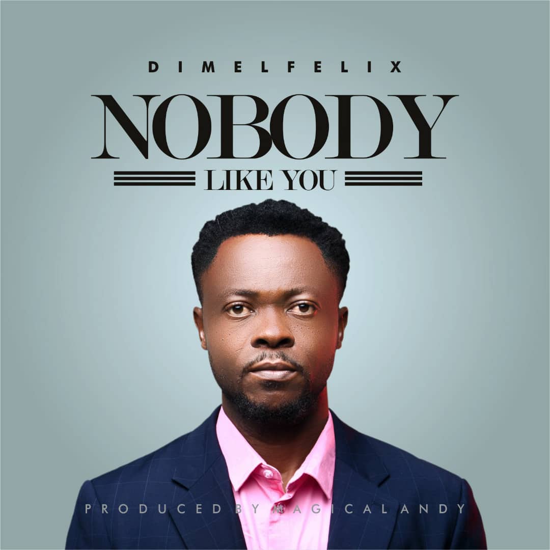 Dimel Felix - No Body Like You (Mp3 + Mp4 Download)